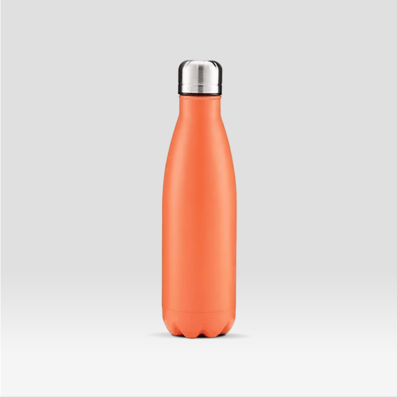 Gourde en Inox Orange Orange / 350ml