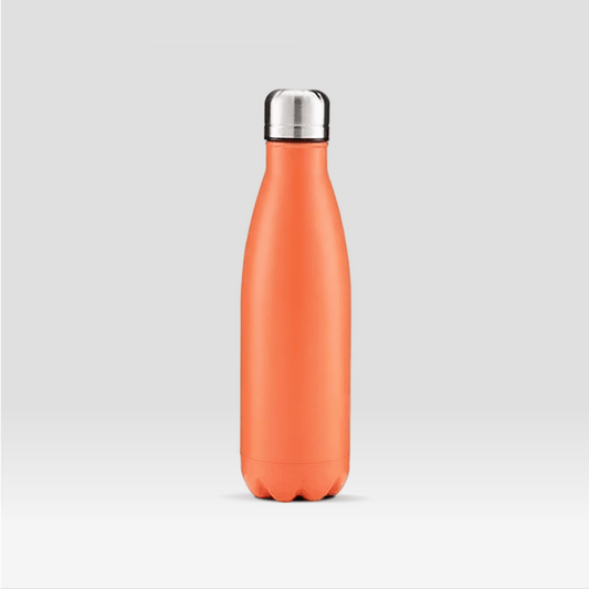 Gourde en Inox Orange Orange / 350ml