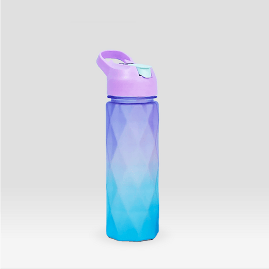 Gourde pour le Sport | Violet et Bleu Violet et Bleu / 600ml